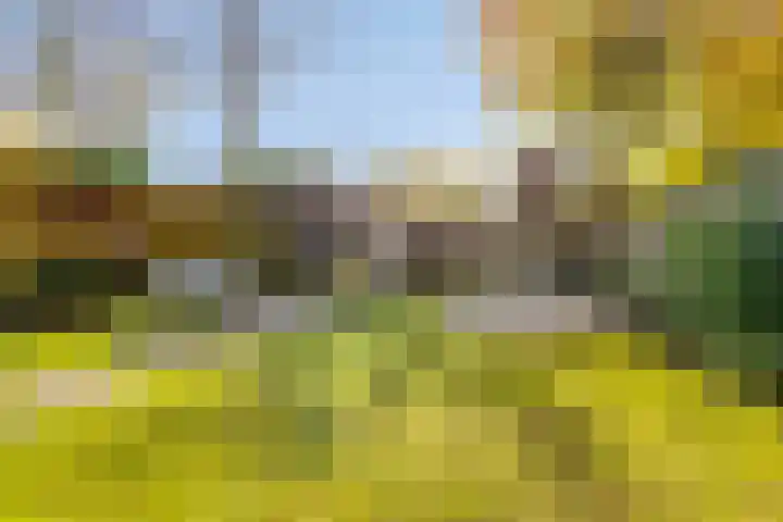 Simonszandlaan 4 Son en Breugel thumbnail 5