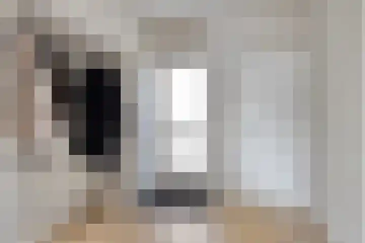 Simonszandlaan 4 Son en Breugel thumbnail 8