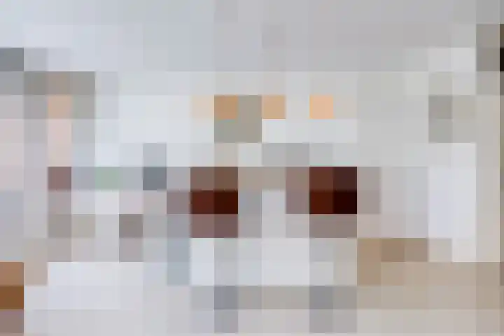 Simplonbaan 14 Utrecht thumbnail 10