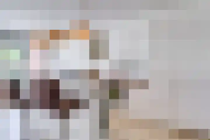 Simplonbaan 14 Utrecht thumbnail 11