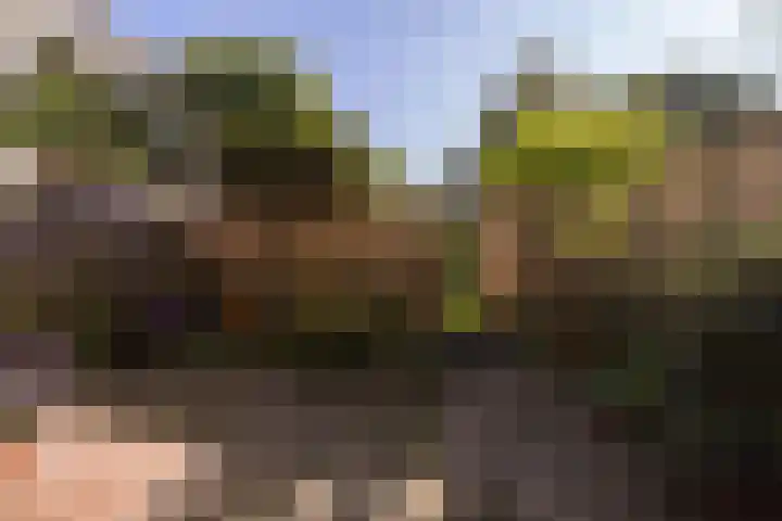 Simplonbaan 14 Utrecht thumbnail 17