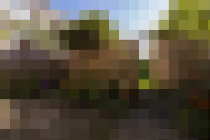 Simplonbaan 14 Utrecht thumbnail 19