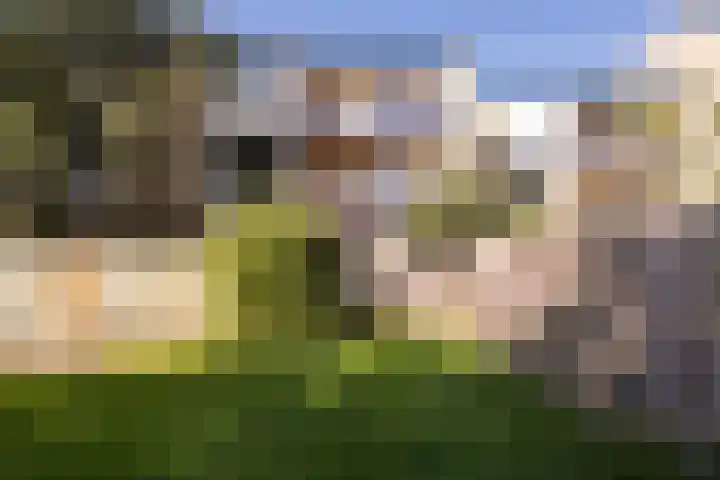 Simplonbaan 14 Utrecht thumbnail 25