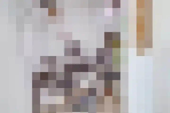 Simplonbaan 14 Utrecht thumbnail 31