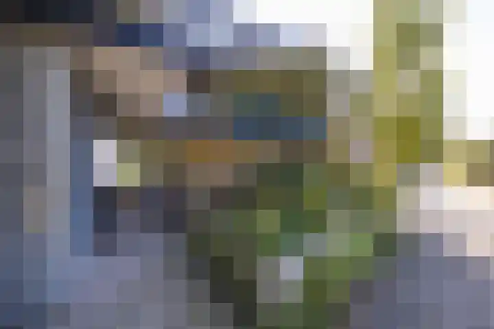 Simplonbaan 14 Utrecht thumbnail 32