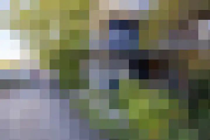 Simplonbaan 14 Utrecht thumbnail 34