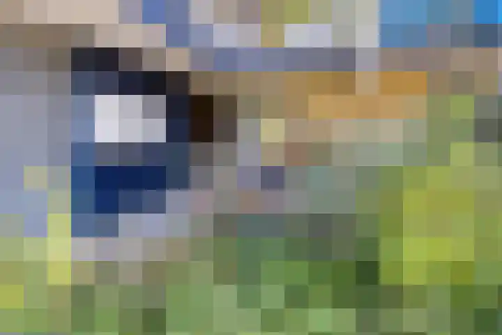 Simplonbaan 14 Utrecht thumbnail 35