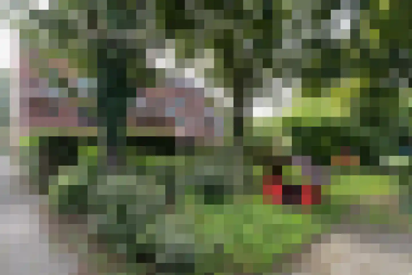 Simplonbaan 145 Utrecht thumbnail 42