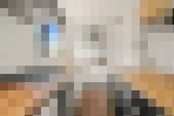 Simplonbaan 159 Utrecht thumbnail 14