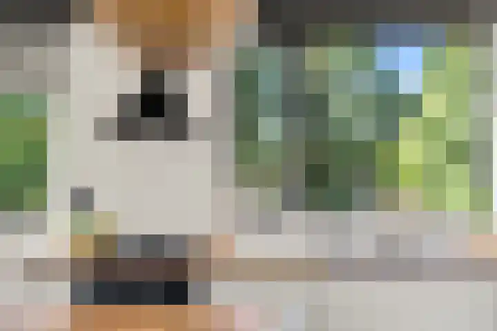 Simplonbaan 159 Utrecht thumbnail 16