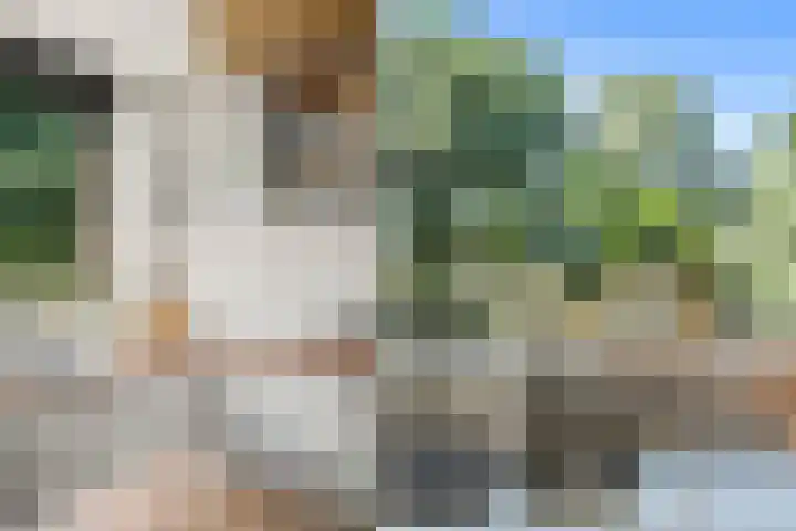 Simplonbaan 159 Utrecht thumbnail 17
