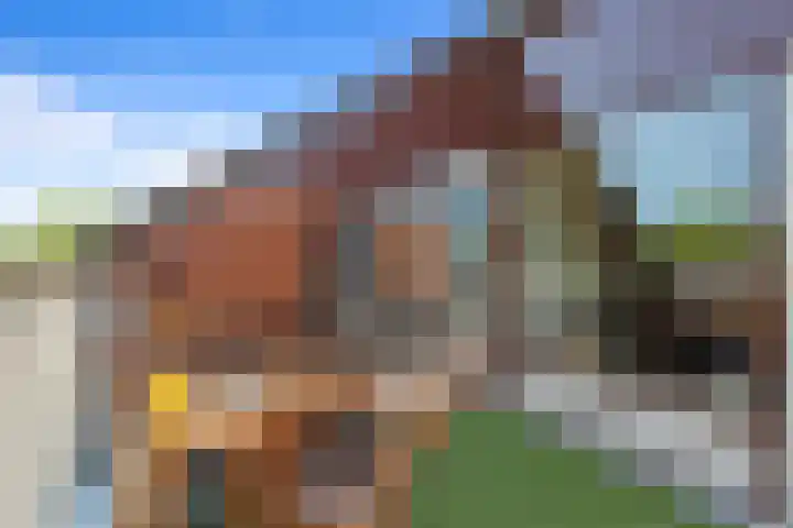 Simplonbaan 159 Utrecht thumbnail 29