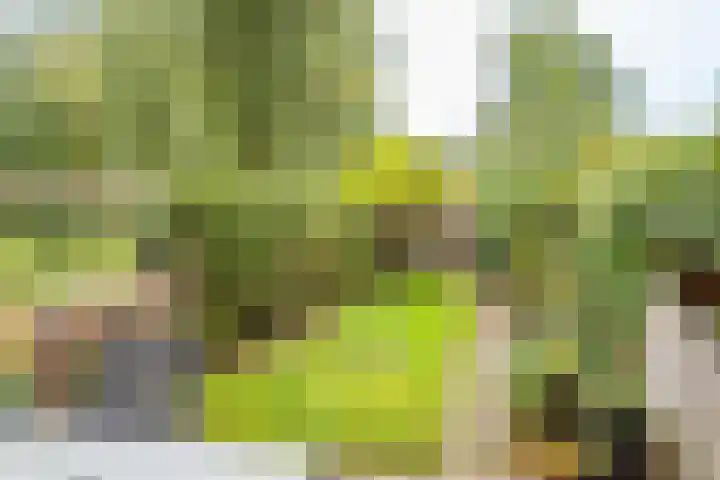 Simplonbaan 246 Utrecht thumbnail 14