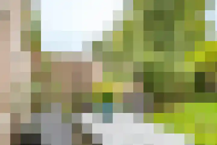 Simplonbaan 246 Utrecht thumbnail 15