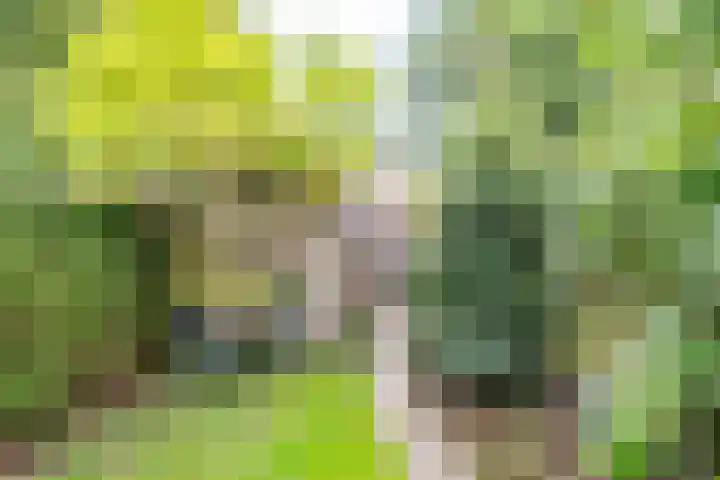 Simplonbaan 246 Utrecht thumbnail 16
