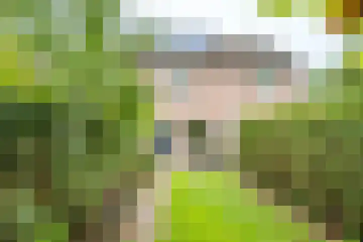 Simplonbaan 246 Utrecht thumbnail 17