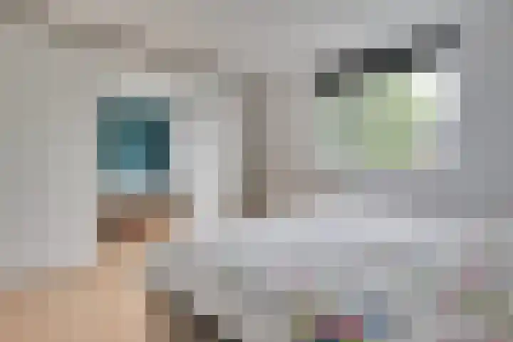 Simplonbaan 246 Utrecht thumbnail 22