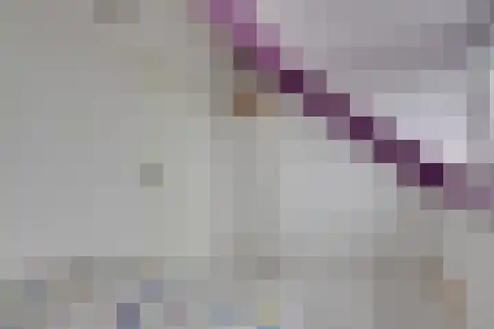 Simplonbaan 246 Utrecht thumbnail 32
