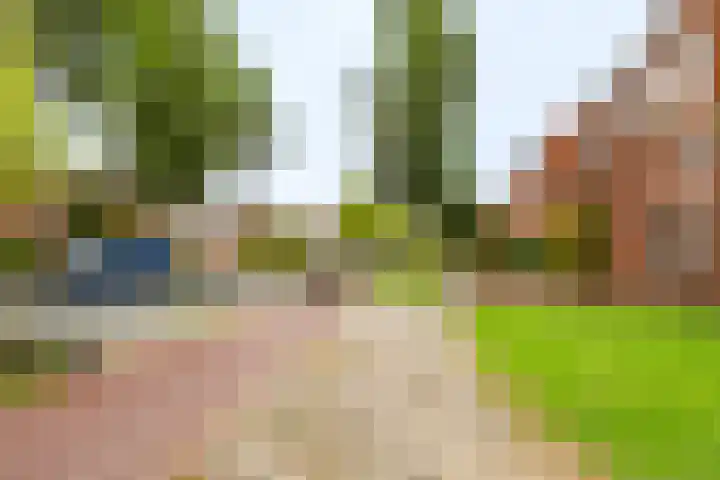 Simplonbaan 246 Utrecht thumbnail 37