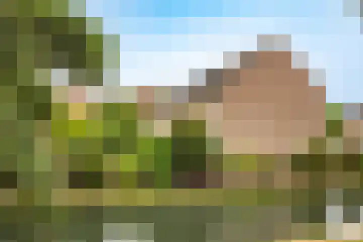 Simplonbaan 246 Utrecht thumbnail 4