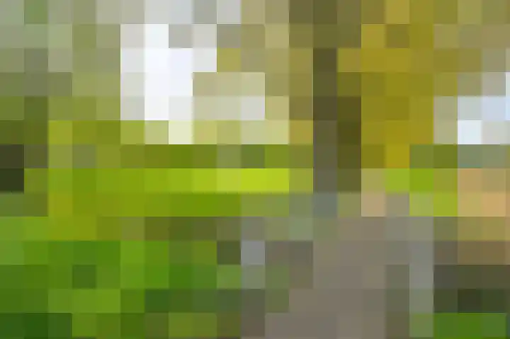Simplonbaan 246 Utrecht thumbnail 43