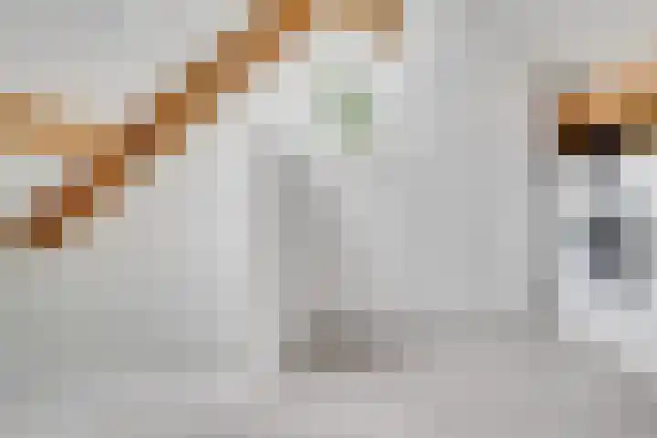 Simplonbaan 308 Utrecht thumbnail 31