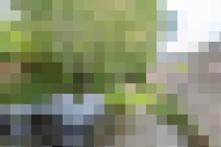 Simplonbaan 308 Utrecht thumbnail 4