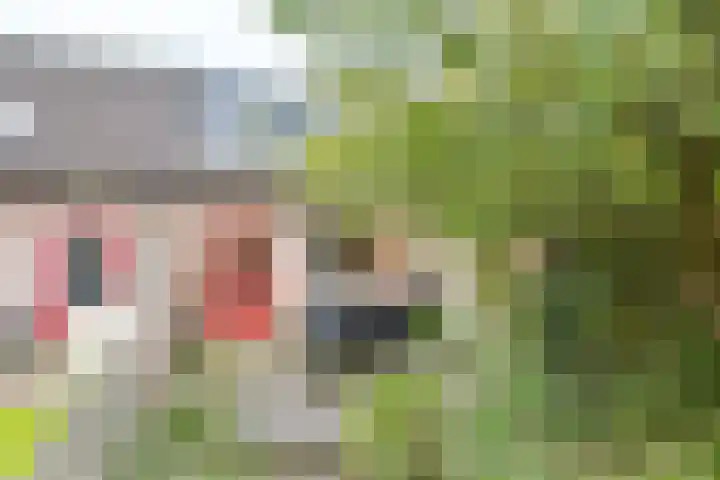 Simplonbaan 308 Utrecht thumbnail 42