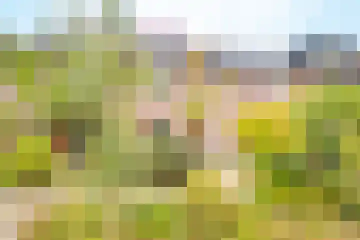 Simplonbaan 308 Utrecht thumbnail 43