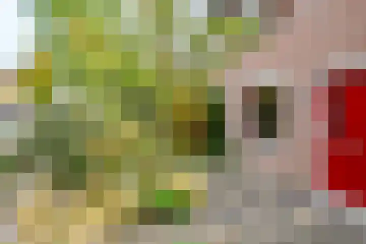 Simplonbaan 308 Utrecht thumbnail 45