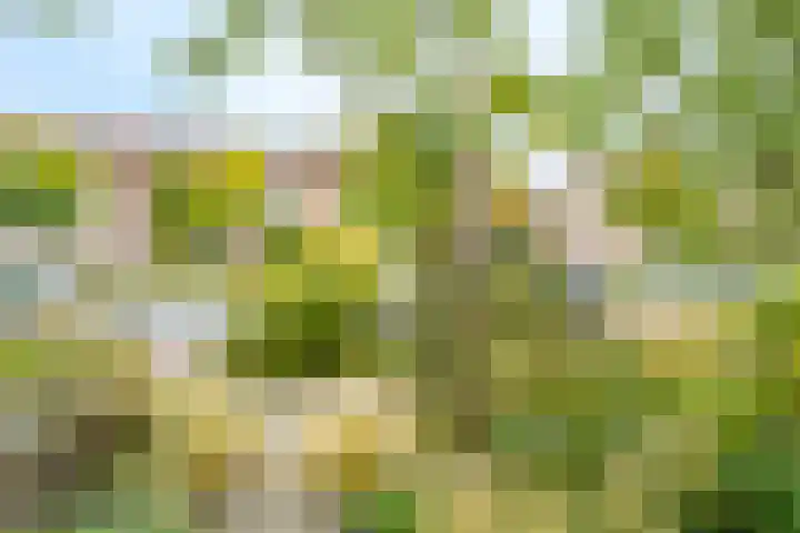 Simplonbaan 308 Utrecht thumbnail 46