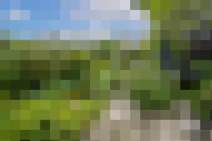Simplonbaan 336 Utrecht thumbnail 17