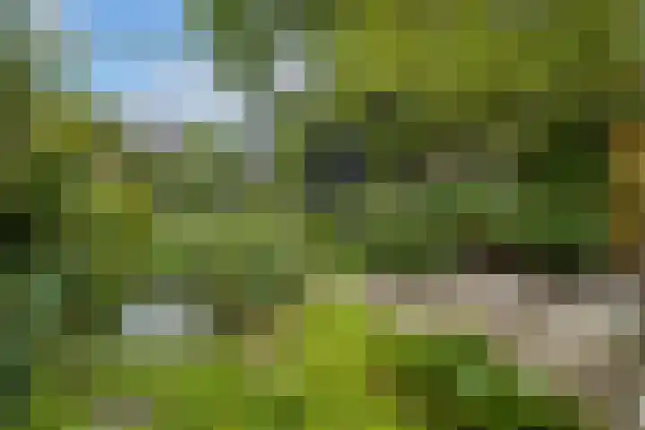 Simplonbaan 336 Utrecht thumbnail 18