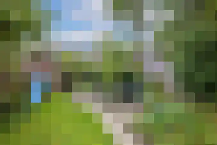 Simplonbaan 336 Utrecht thumbnail 19