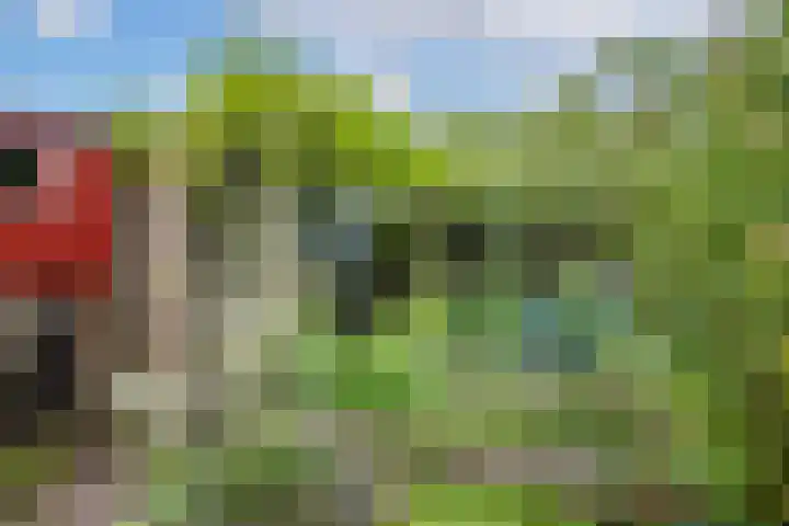 Simplonbaan 336 Utrecht thumbnail 20