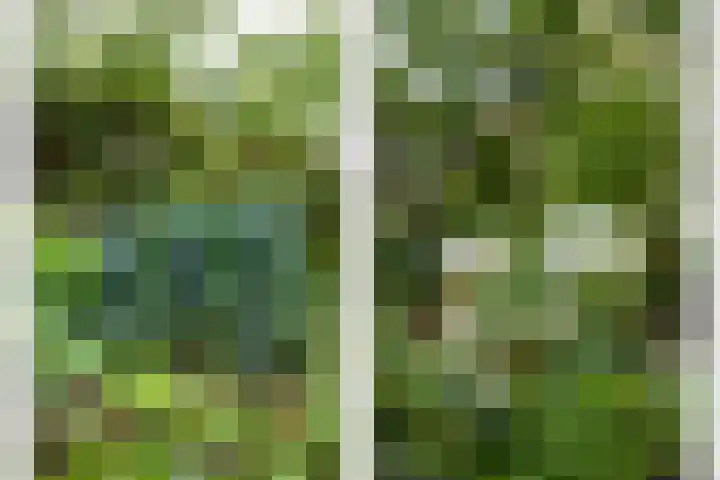 Simplonbaan 336 Utrecht thumbnail 21