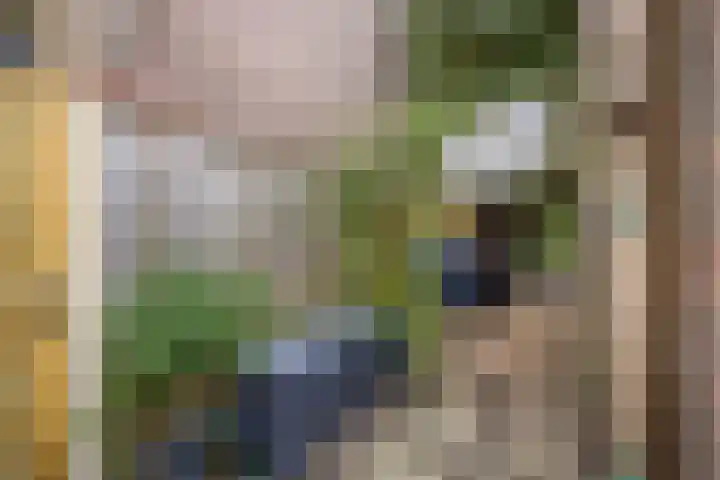 Simplonbaan 336 Utrecht thumbnail 23