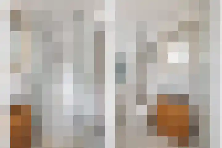 Simplonbaan 336 Utrecht thumbnail 29