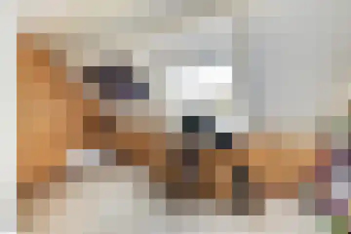 Simplonbaan 336 Utrecht thumbnail 30