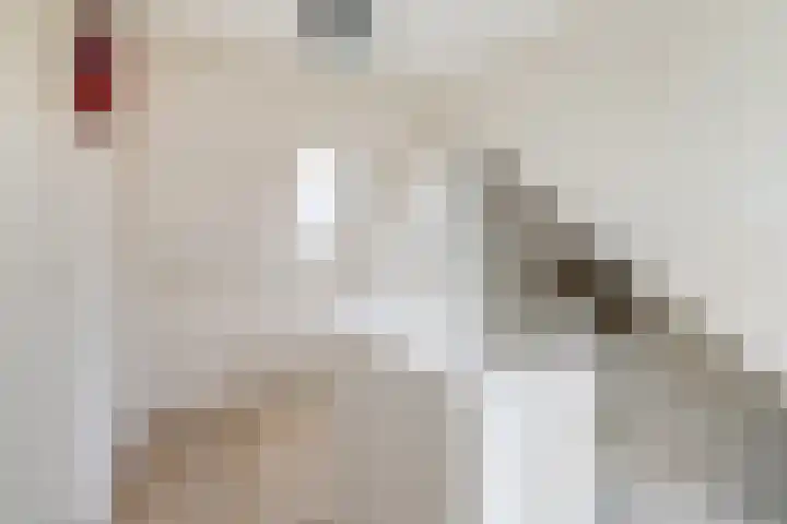 Simplonbaan 336 Utrecht thumbnail 33