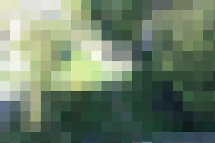 Simplonbaan 336 Utrecht thumbnail 35