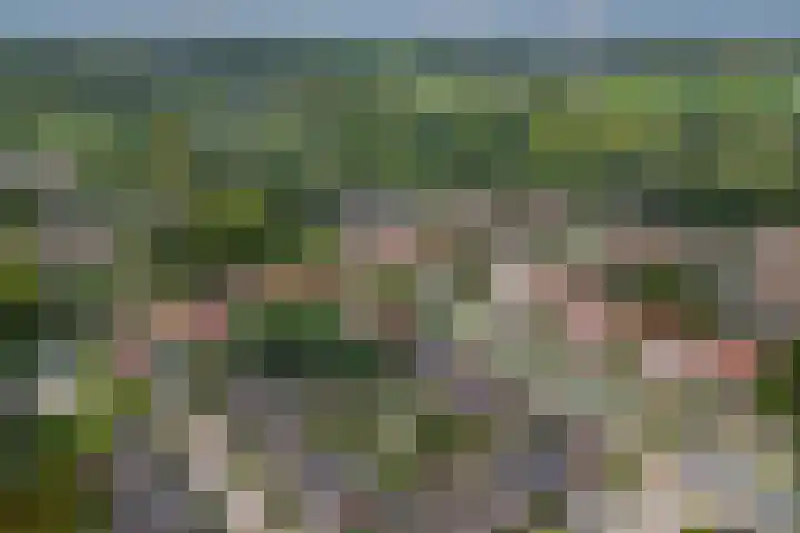 Simplonbaan 336 Utrecht thumbnail 38