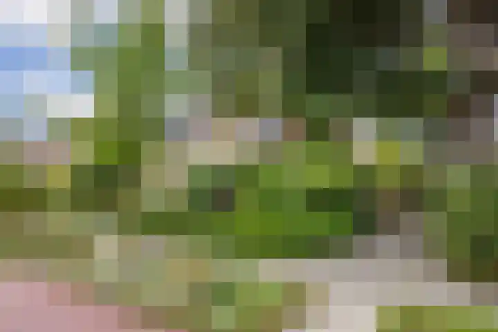 Simplonbaan 336 Utrecht thumbnail 4