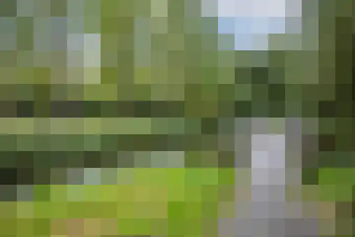Simplonbaan 336 Utrecht thumbnail 40