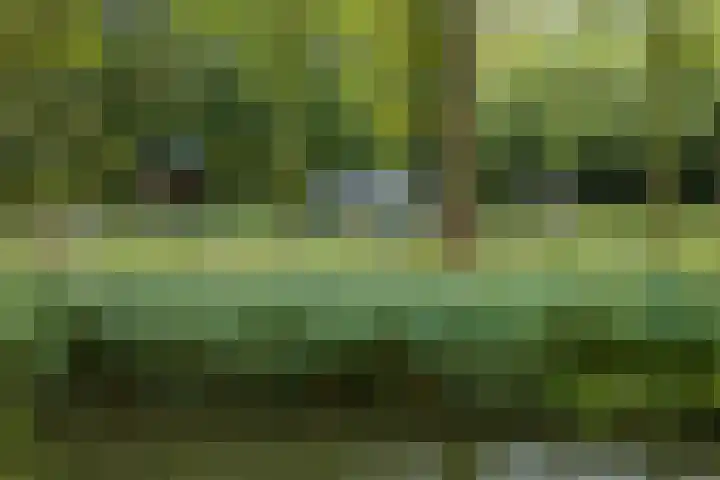 Simplonbaan 336 Utrecht thumbnail 41