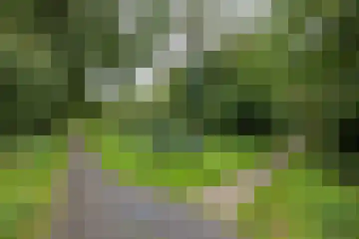 Simplonbaan 336 Utrecht thumbnail 42