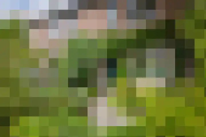 Simplonbaan 336 Utrecht thumbnail 5