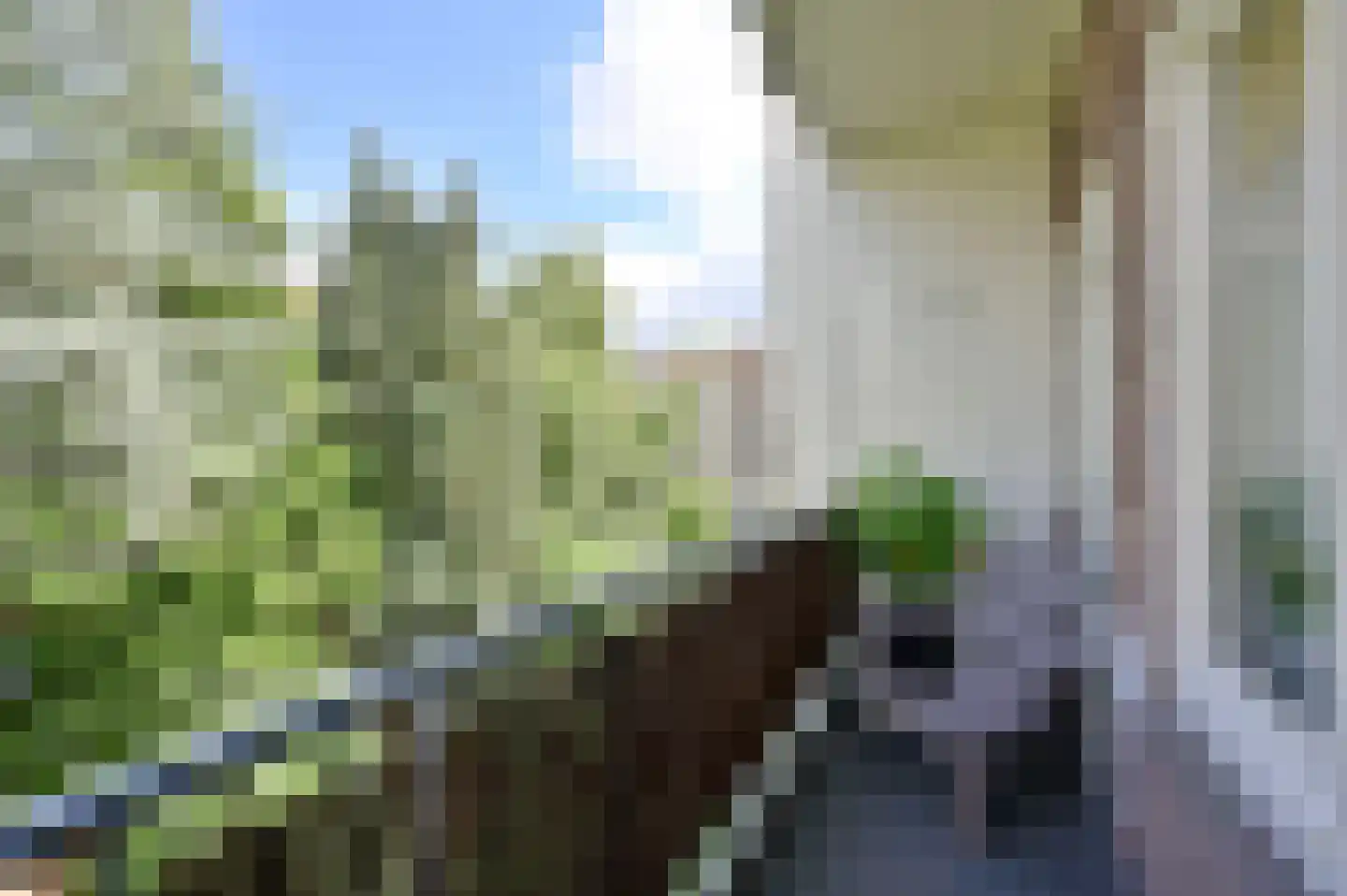 Simsonstraat 13 1 Amsterdam thumbnail 9