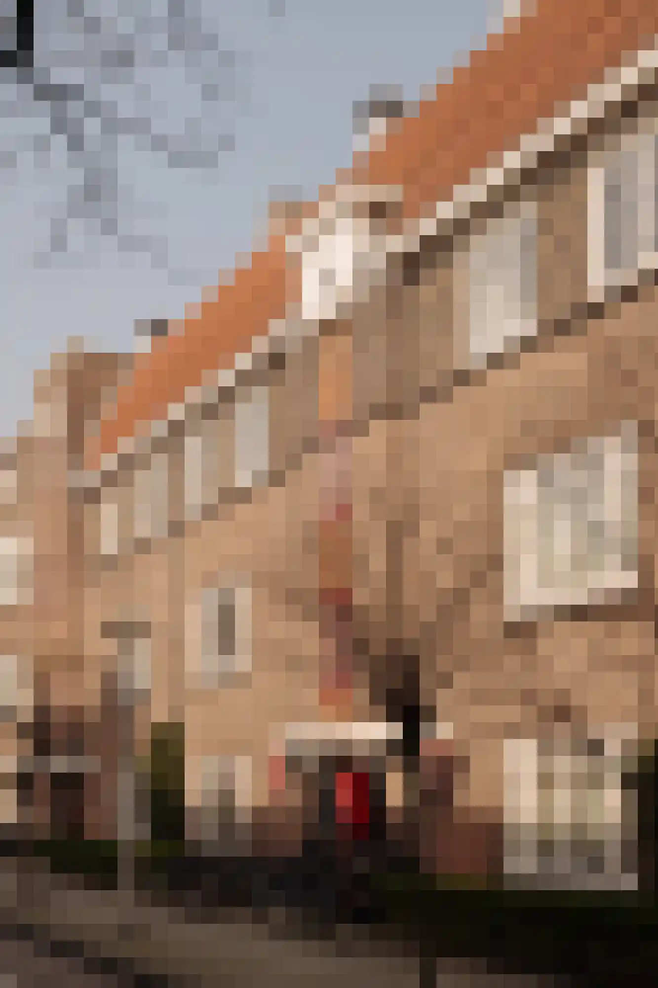 Simsonstraat 17 1 Amsterdam thumbnail 24