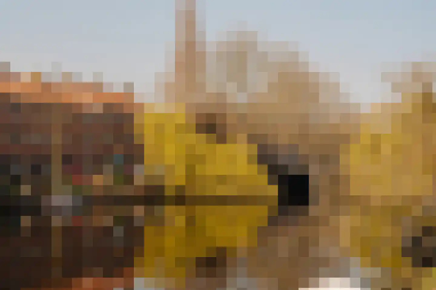 Simsonstraat 17 1 Amsterdam thumbnail 25